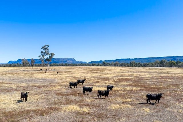 Golton South Road, VIC 3385