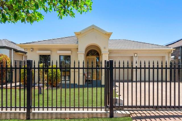 84 Livingstone Avenue, SA 5082