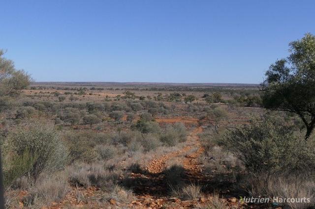 * Nantilla, NSW 2840