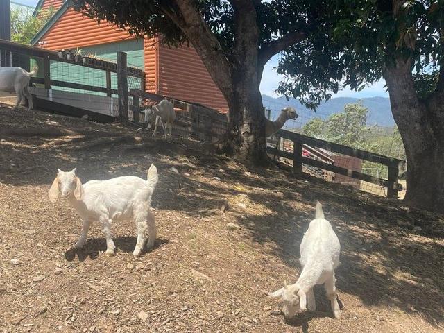 52 Ray Booker Court,, QLD 4520