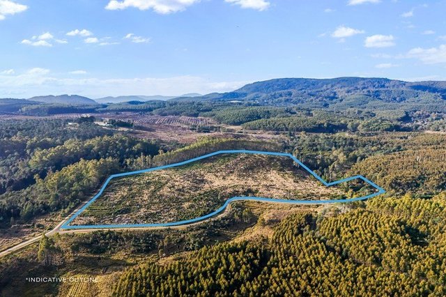 277 Diddleum Road, TAS 7259