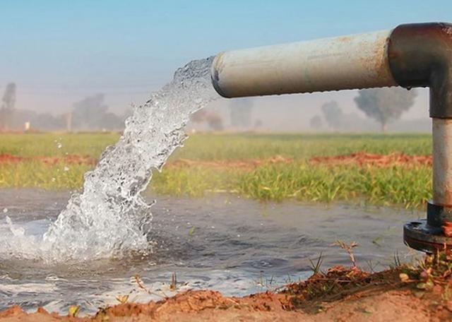 Lower Gwydir Bore Licences, NSW 2400