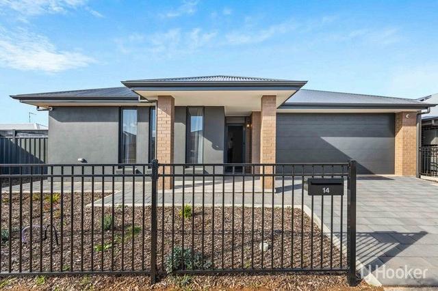 14 Banjo Street, SA 5115