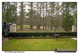 Backyard (2015-06-02)