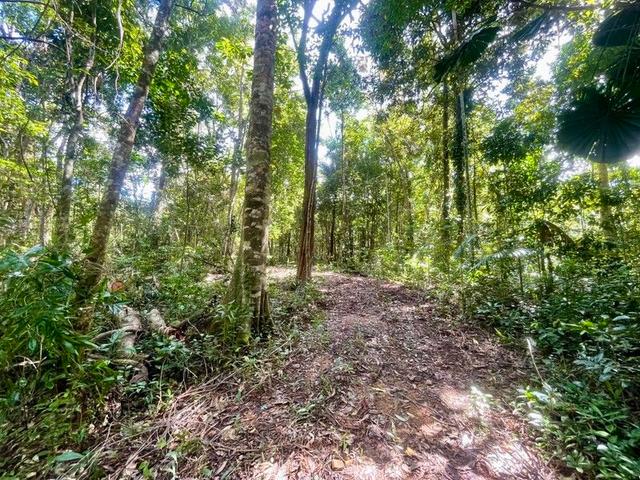 Lot 150 Wattle Close, Cow Bay, QLD 4873