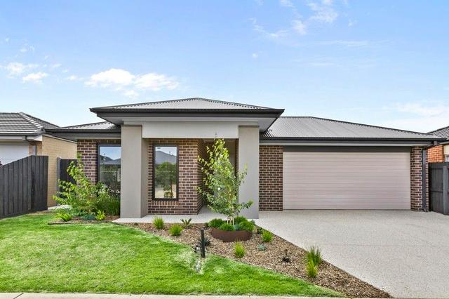 12 Felix Street, VIC 3223