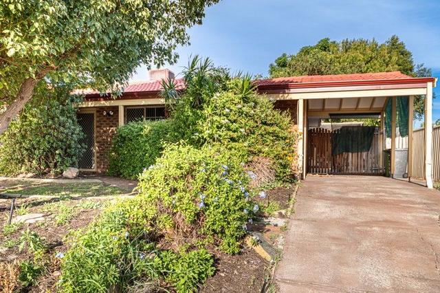 64 Murchison Way, WA 6110