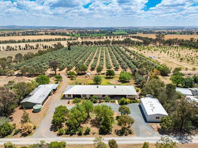 20/444 Rivers Road, NSW 2804