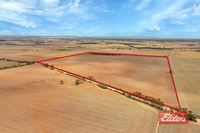 Lot 443 Richter Road, SA 5502