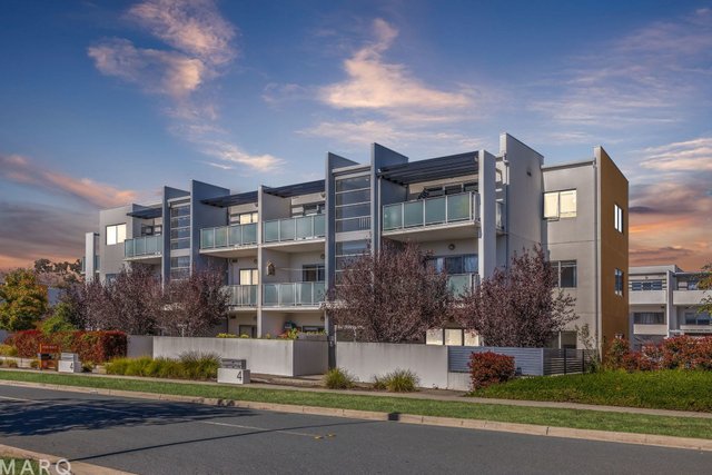 21/4 Sapling Street, ACT 2914