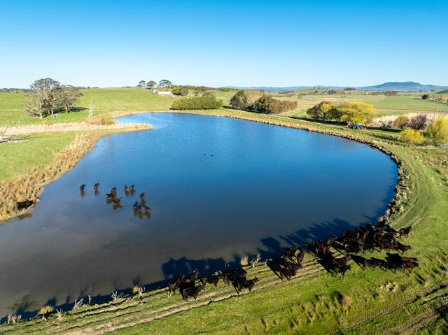 110 & 136 Beneree Road, NSW 2798