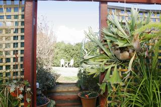 Pergola To Backyard