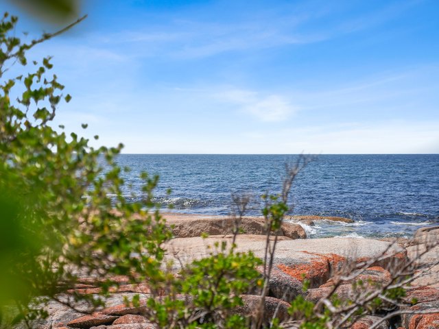 7 Waubs Court, TAS 7215