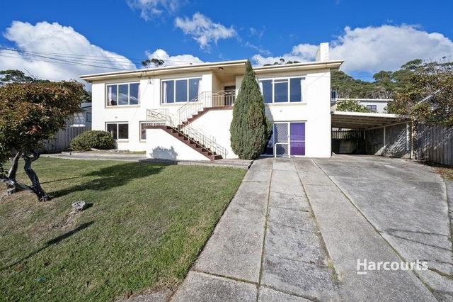 41 Saundridge Road, TAS 7320