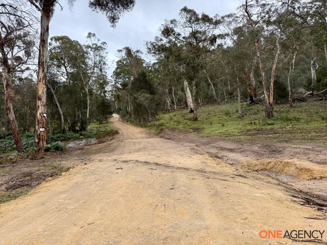 1830 Dangelong Road, NSW 2631