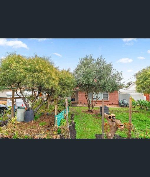 5 Gimbi Street, SA 5098