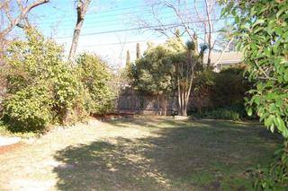 Rear Yard (2008-06-30)