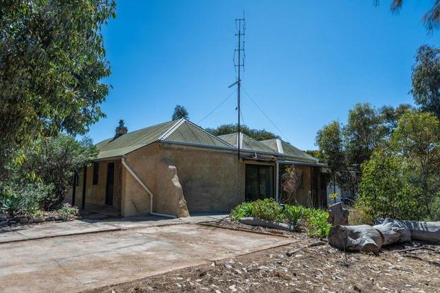 10 Derrington Terrace, SA 5558