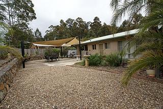 Backyard (2010-11-05)