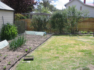 lawn & vegie garden