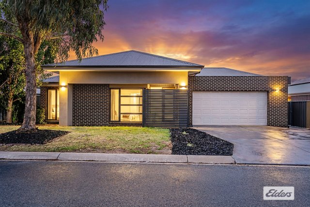 14 Barnett Avenue, NSW 2640