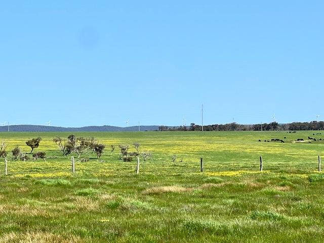 252/null Albany Views Private Estate - Albany Views Private Estate, WA 6330