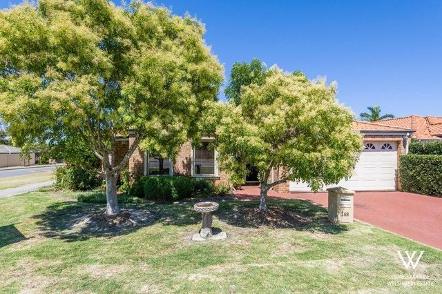 16B Jeffrey Street, WA 6105