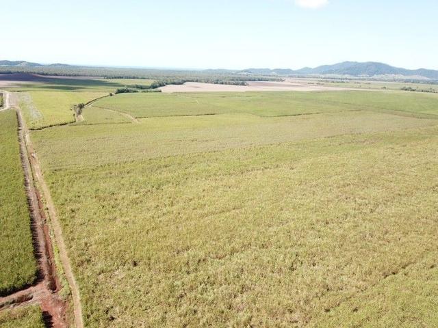 Lot 499 Bruce Highway, QLD 4856