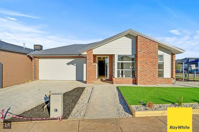 51 Wonnangatta Crescent, VIC 3338