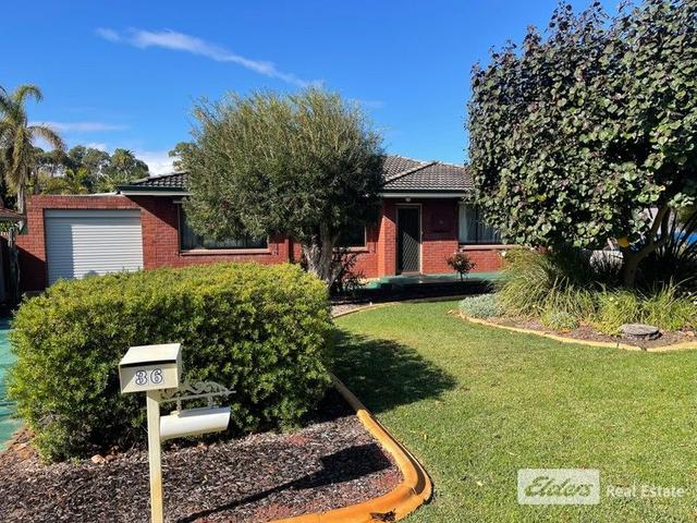 36 Andromeda Street, WA 6168