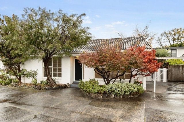 6/69 Normanby Rd, VIC 3161