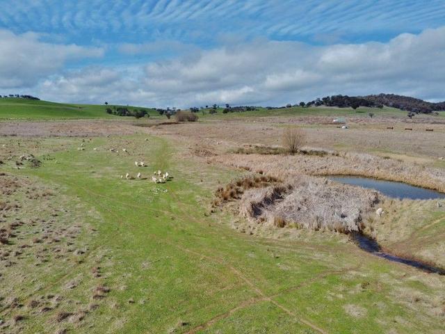 127 Calabash Road, Murringo, Via, NSW 2594