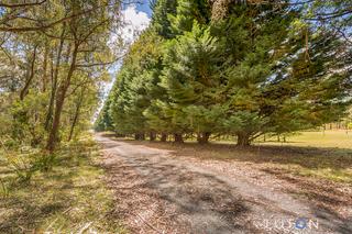 Beautiful driveway 