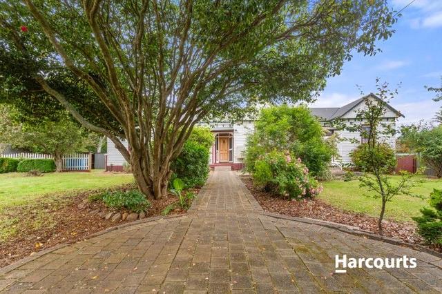 53 Arthur Street, TAS 7260