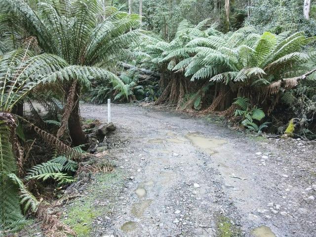 PID 7682518 Mount Elephant Road, TAS 7215