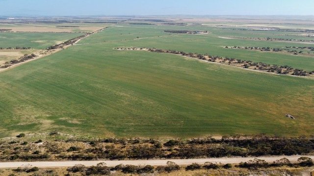 177 Taragoro Road, SA 5642