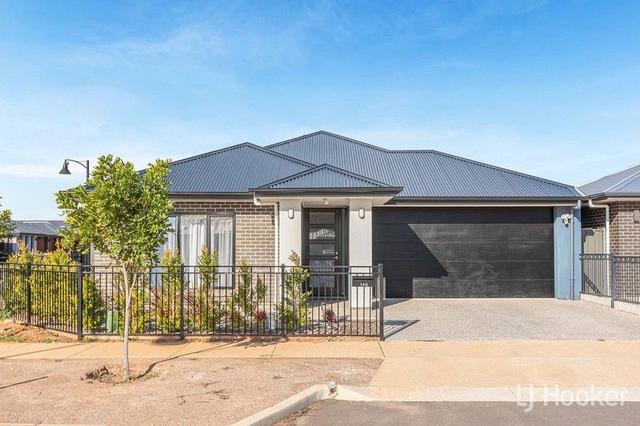 146 Douglas Drive, SA 5115