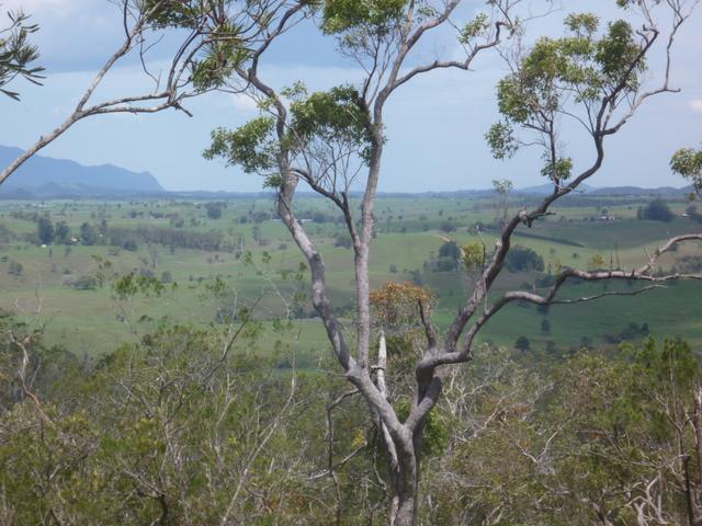 (no street name provided), QLD 4883