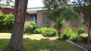 Frontyard