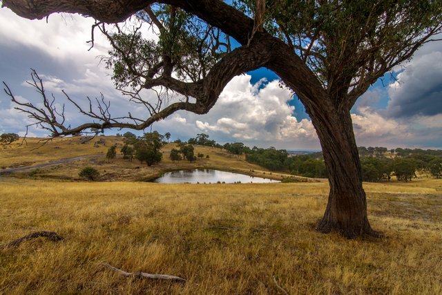 2400 Sapphire Road, NSW 2583