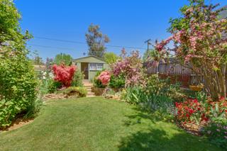 View to Garden Studio (2019-10-26)