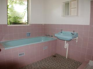 Bathroom (2007-11-14)