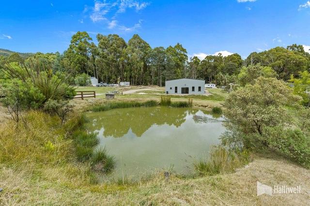 114 Grandview Drive, TAS 7310