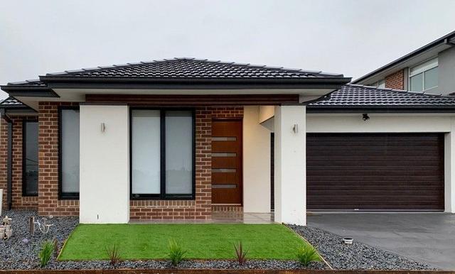 41 Belvedere Drive, VIC 3029