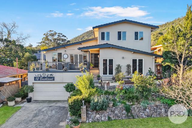 12 Bushland Avenue, NSW 2340