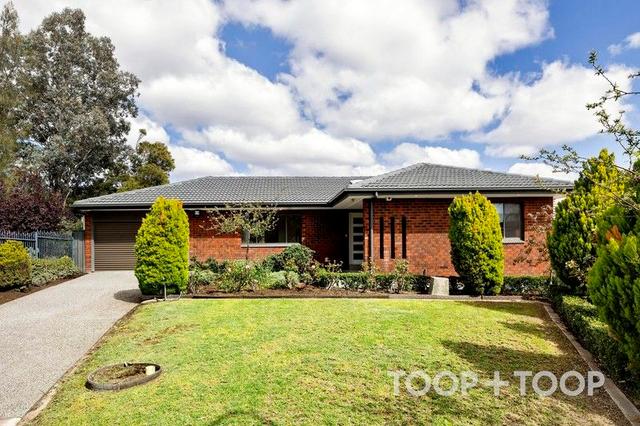 16 Tracy Court, SA 5076
