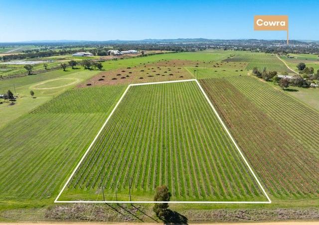 106 Anderson Lane, NSW 2794