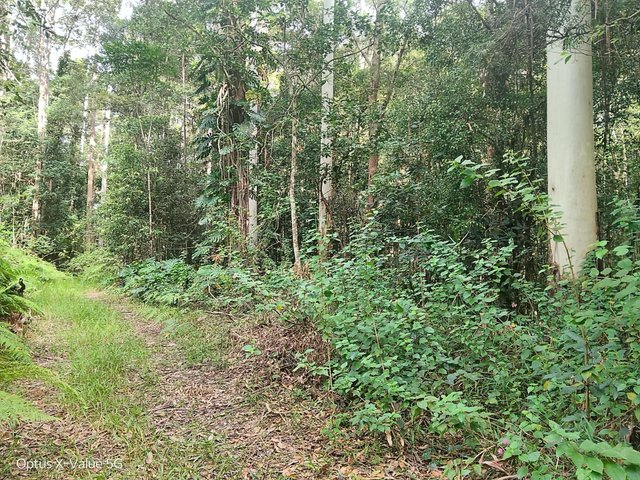 Lot 8/399 Browns Creek Road, QLD 4561