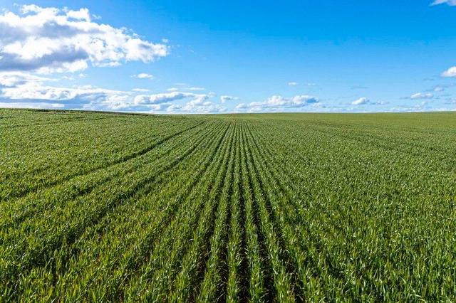 Midlands Road, WA 6515