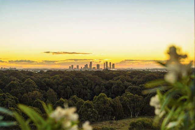 1003/3 Bennelong Parkway, NSW 2127